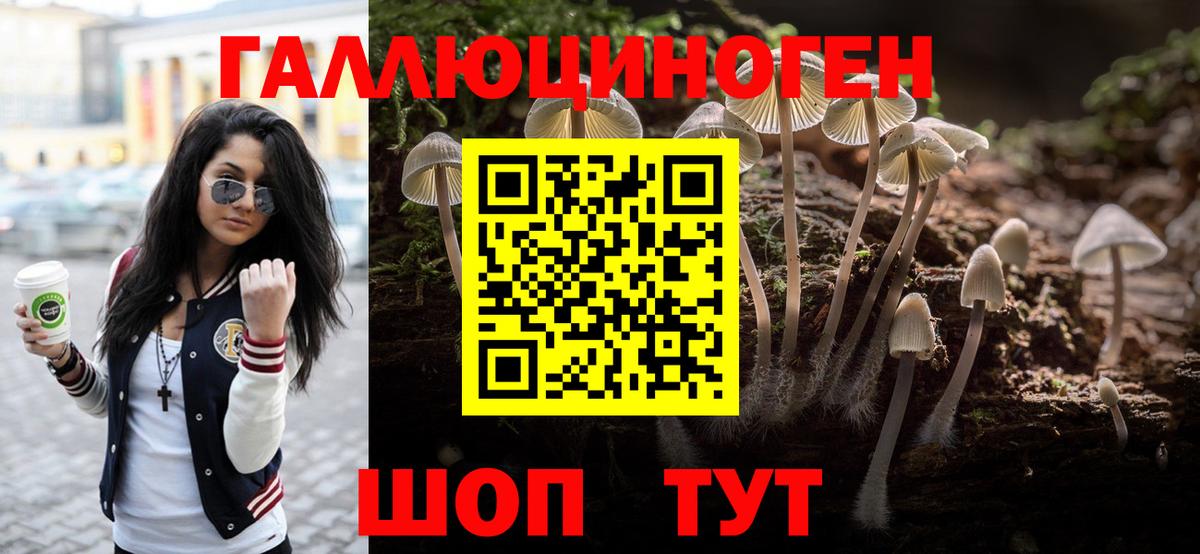 Галлюциногенные грибы Cubensis  Галлюциногенные грибы прущие грибы  Сердобск  Вход с VPN 